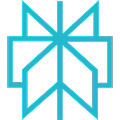 perplexity icon